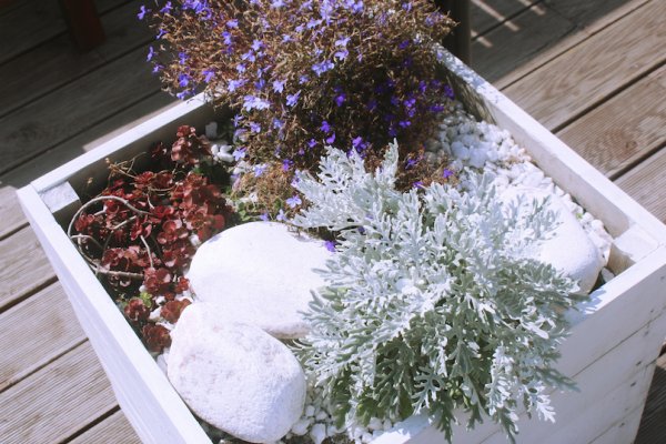 Не могу зайти на кракен