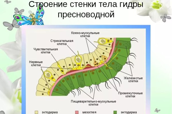 Кракен шоп это