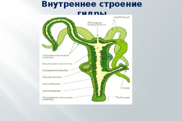 Кракен зеркало 2kraken biz
